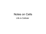 CELLS POWERPOINT