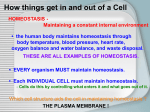 How things get in and out of a Cell HOMEOSTASIS