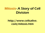 Mitosis- A Story of Cell Division