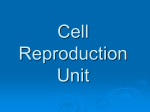 Cell Division PPT