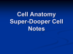 Cell Parts (cont.)