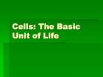 Cells: The Basic Unit of Life - Warren County Public Schools