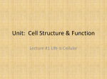 Unit: Cell Structure & Function