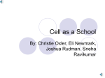 7CPPTSRENJRCO - Cell-as-a