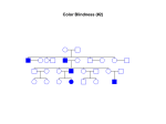 Extra Pedigree Problem - Winona State University