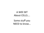 Cells are the basic