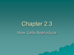 Chapter 2 part 3