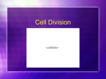 Cell Division