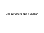 Cell Structure and Function1