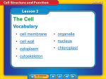 cell parts