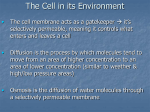 Describing Matter & Energy