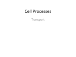 Cell Processes