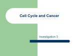 Cell Cycle and Cancer