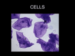 cells - Edmonds