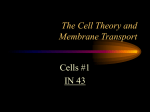 The Cell Theory and Membrane Transport