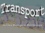 Homeostasis and Transport