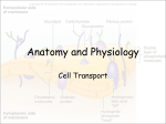 Cell Transport PPT - Effingham County Schools