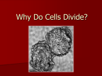 Why-do-cells