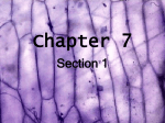 Chapter 7 - Edublogs @ Macomb ISD