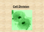 07 Cell Division lesson