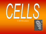 Cell powerpoint 1 Cells PP Final
