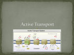 3.5 Active Transport
