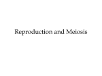 Reproduction and Meiosis