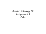 Grade 11 Biology DP Assignment 3 Cells