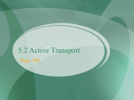 Differentiate between active and passive transport