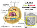 Nucleus - bbmskharris