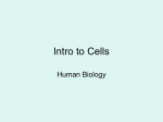 Intro to Cells