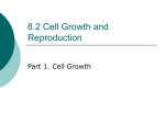 8.2 Cell Growth and Reproduction
