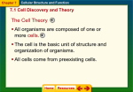 Cellular Structure and Function