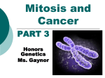LECTURE #9: Introduction to Cancer