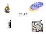 intro to cells