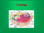 Cell Powerpoint used in class