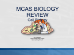MCAS Biology Cell review