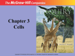 Cells teacher powerpoint