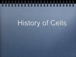 Cells: Prokaryote vs Eukaryote