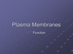 Plasma Membranes1 Year 11 biology