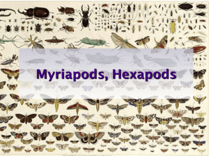 Hexapods Ch. 15
