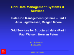 Grid Data Management Systems & Services