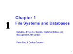 File Systems and Databases