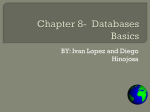 Chapter 8- Databases Basics