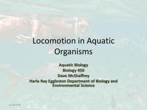 Locomotion in Aquatic Organisms