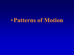 Chapter 3 - "Patterns of Motion"