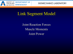 Link Segment Model & Inverse Dynamics