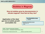 Bubbles in Magmas