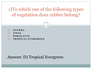 1)To which one of the following types of vegetation does rubber