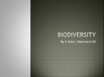 Biodiversity